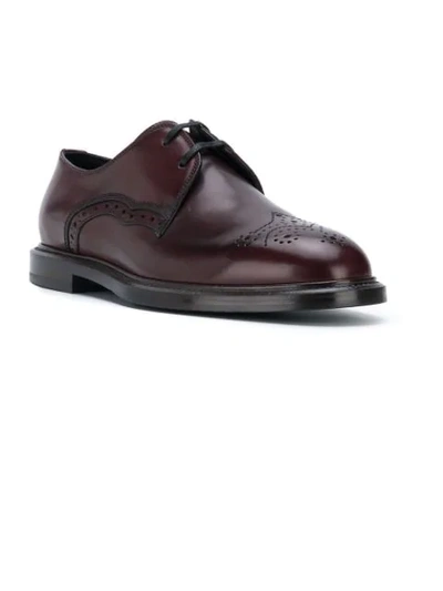 Shop Dolce & Gabbana Derby Brogues In Brown