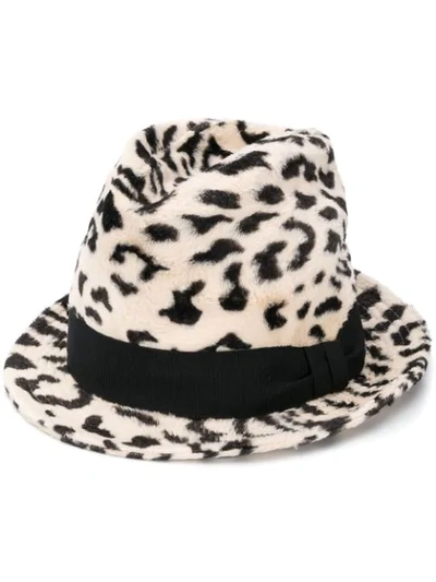 Shop Dolce & Gabbana Leopard Print Trilby Hat In Ham6n Leopard Print
