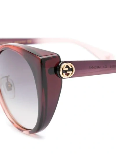 Shop Gucci Cat Eye Translucent Sunglasses In Brown