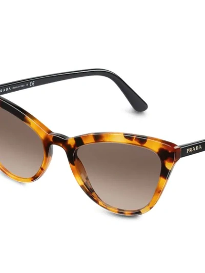Shop Prada Ultravox Sunglasses In Brown