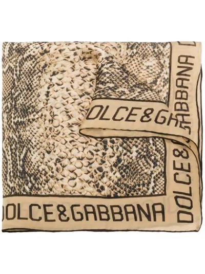 Shop Dolce & Gabbana Snake Print Scarf In Neutrals