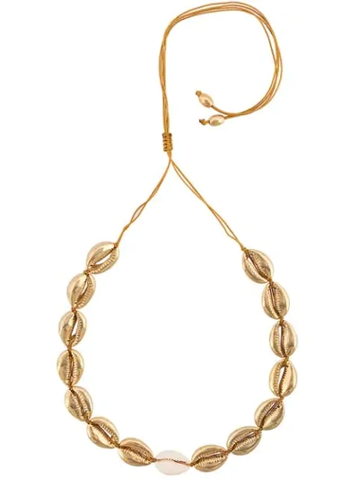 Shop Tohum Concha Puka 30 Necklace In Gold