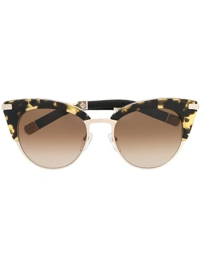 Paradis Collection Stardust Sunglassesc In Brown