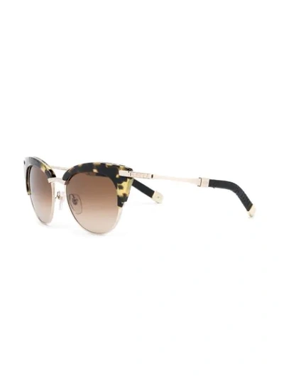 Paradis Collection Stardust Sunglassesc In Brown