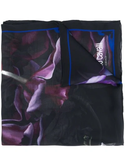 Shop Roberto Cavalli Marchito Printed Scarf In Purple