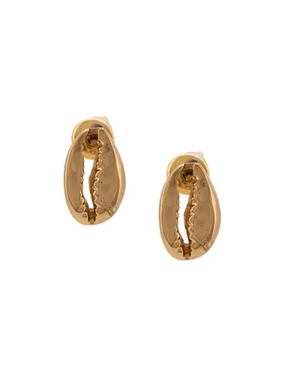 Shop Tohum Concha Puka 10 Earrings In Gold