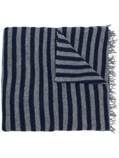 Shop Danielapi Horizontal Stripe Scarf - Blue