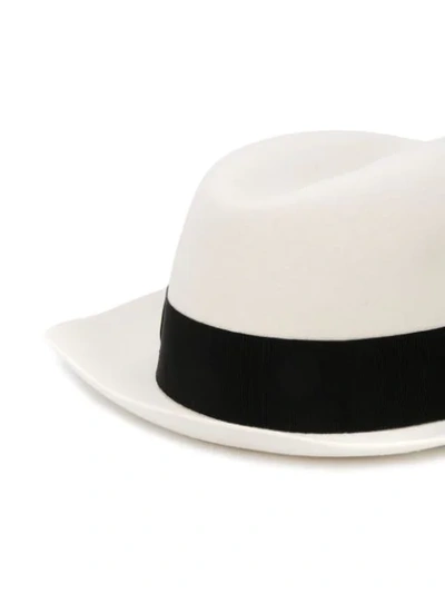 Shop Dolce & Gabbana Contrast Band Trilby In White