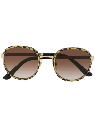 Shop Dolce & Gabbana Tiger Print Sunglasses In 02/13