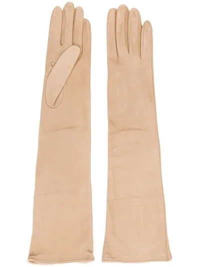 Shop Erika Cavallini Long Gloves - Neutrals