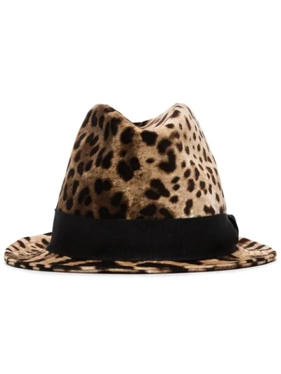 Shop Dolce & Gabbana Leopard Print Trilby Hat In Brown