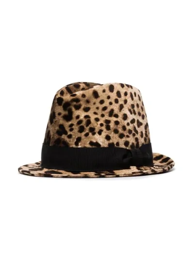 Shop Dolce & Gabbana Leopard Print Trilby Hat In Brown