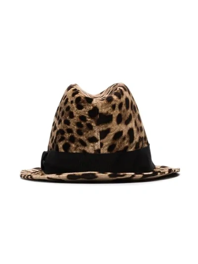 Shop Dolce & Gabbana Leopard Print Trilby Hat In Brown