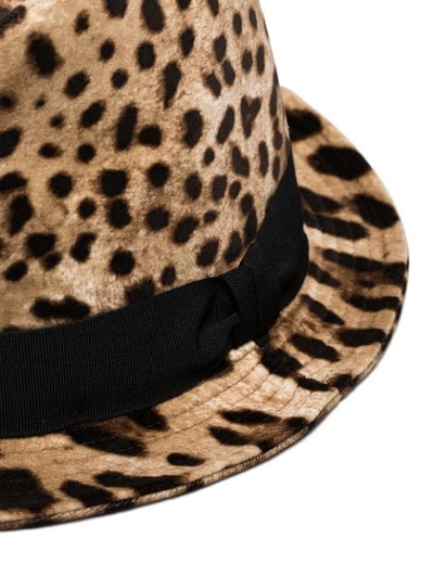 Shop Dolce & Gabbana Leopard Print Trilby Hat In Brown
