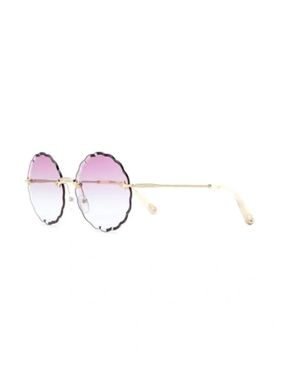 scallop edge sunglasses