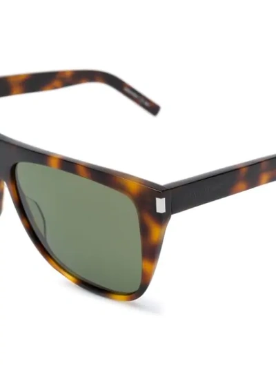 Saint Laurent Oversized Frame Sunglasses In Brown