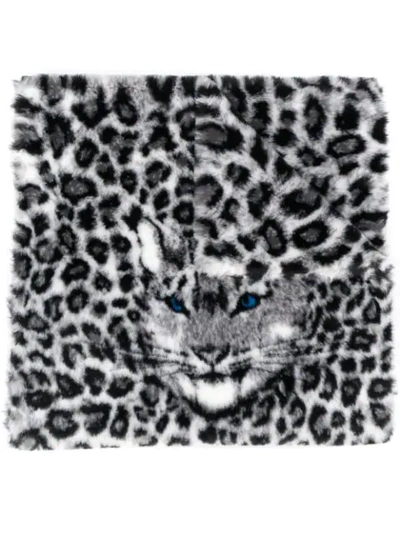 Shop Alberta Ferretti Oversized Leopard Print Scarf In Black