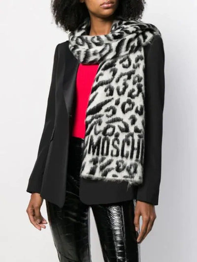 Shop Moschino Leopard Intarsia Scarf In White