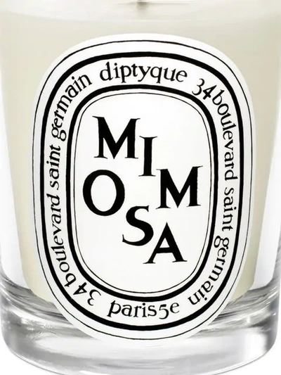 Shop Diptyque Mimosa Scented Candle In White