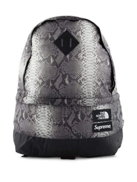 north face supreme backpack snakeskin