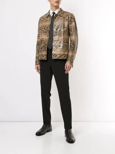 Shop Dolce & Gabbana Blouson Jacket In Brown