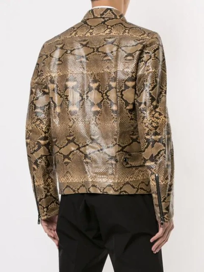 Shop Dolce & Gabbana Blouson Jacket In Brown