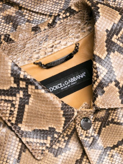 Shop Dolce & Gabbana Blouson Jacket In Brown