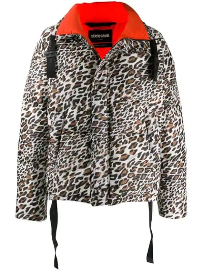 Shop Roberto Cavalli Leopard Print Puffer Jacket In Black