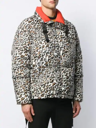 Shop Roberto Cavalli Leopard Print Puffer Jacket In Black