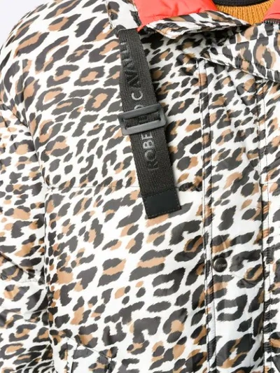 Shop Roberto Cavalli Leopard Print Puffer Jacket In Black