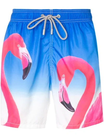 Shop Mc2 Saint Barth Barbados Flamingo Swim Shorts In Blue