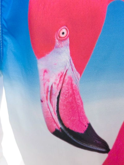 Shop Mc2 Saint Barth Barbados Flamingo Swim Shorts In Blue