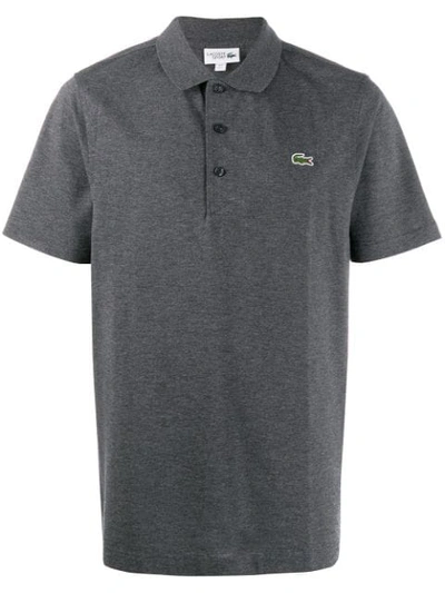 Shop Lacoste Embroidered Logo Polo Shirt In Grey