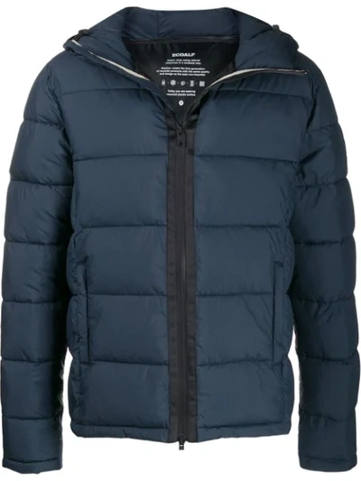 Shop Ecoalf Padded Jacket In Blue