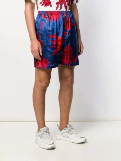 Shop Roberto Cavalli Floral Print Shorts In Blue