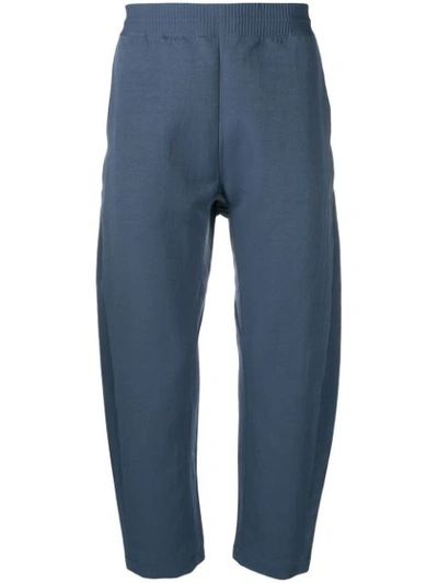 Shop Nike Cropped Track Pants In Blue