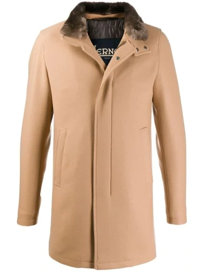 Shop Herno Fur Collar Coat In Neutrals