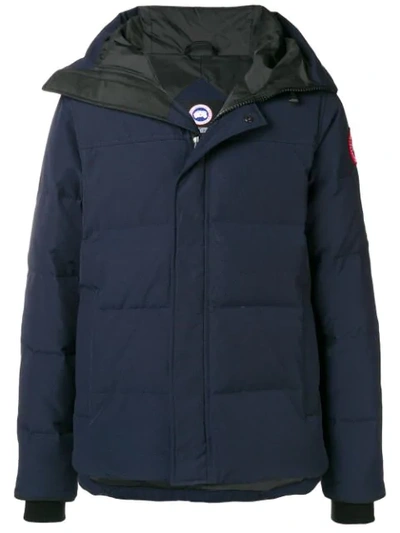 Shop Canada Goose Short Padded Coat - Blue