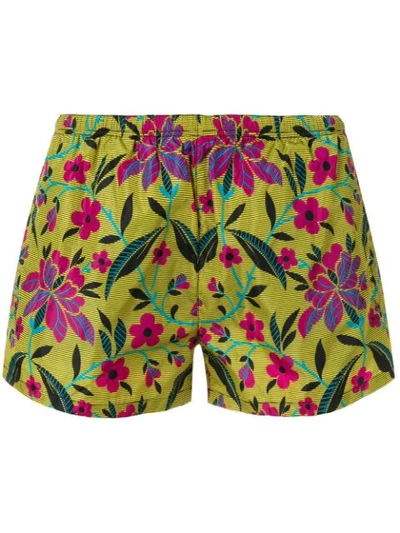 Shop Prada Floral Print Swim Shorts In Yellow