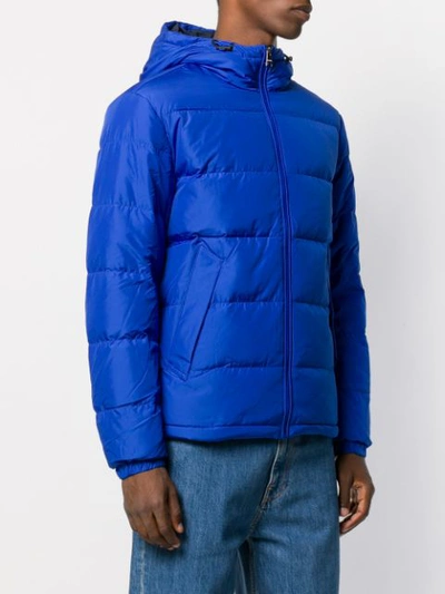 Shop Tommy Hilfiger Hooded Padded Jacket In Blue