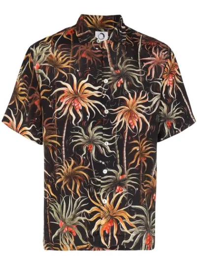 Shop Endless Joy Palm Print Shirt In Black