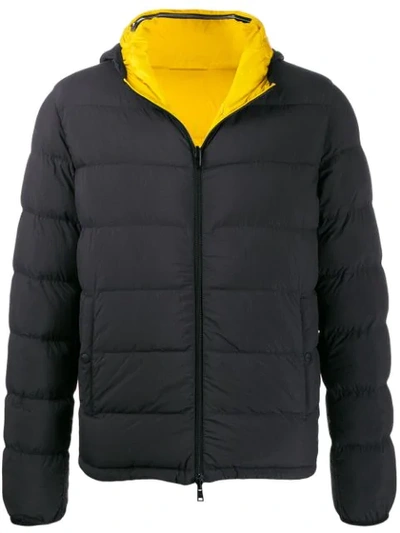 Shop Herno Reversible Padded Jacket In Black