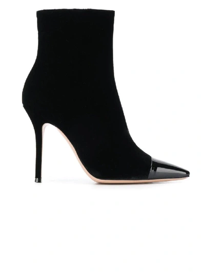 Shop Gianvito Rossi Black Women's Toe-cap Velvet Ankle Booties