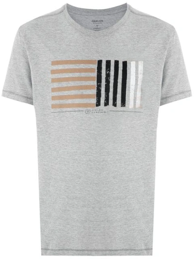 Shop Osklen 'listrado Hzvt' T-shirt In Grey