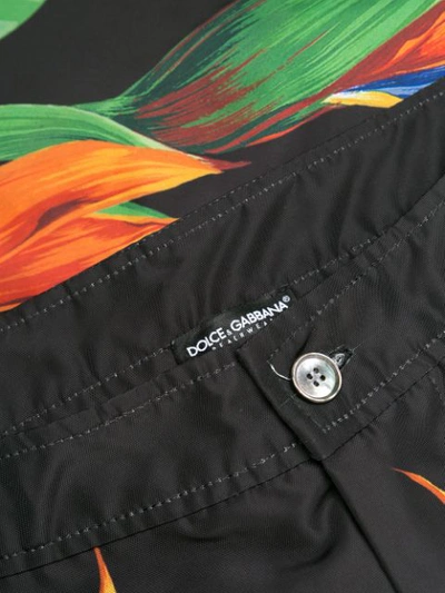Shop Dolce & Gabbana Bird Of Prey Print Swim Shorts In Black
