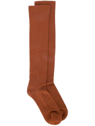 Shop Rick Owens Knee High Socks - Brown