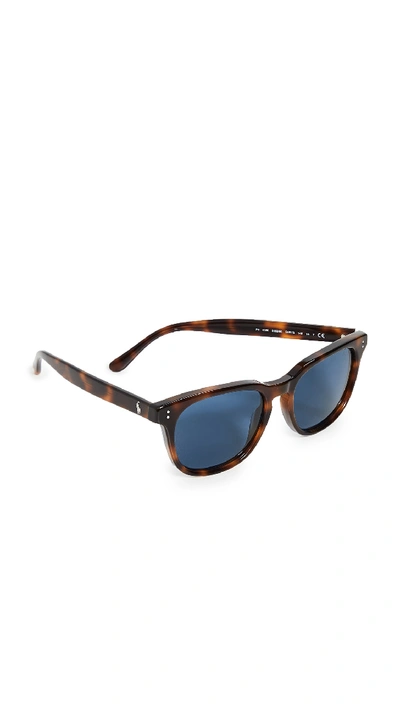 Shop Polo Ralph Lauren Square Sunglasses In Tortoise/blue