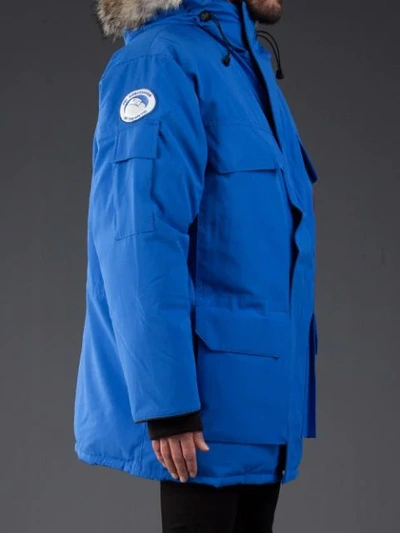 Shop Canada Goose Pbi Expedition Parka In Blue