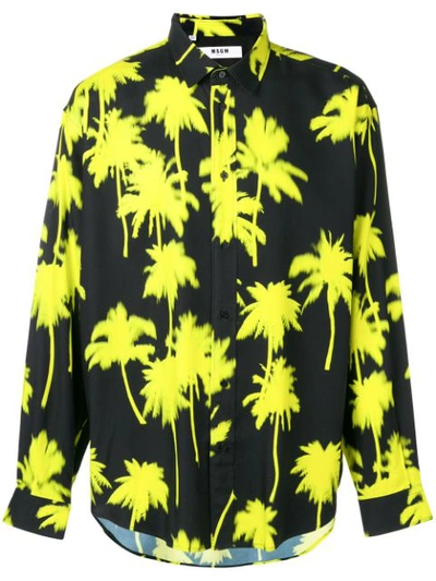 Shop Msgm Palm Tree Print Shirt In Black