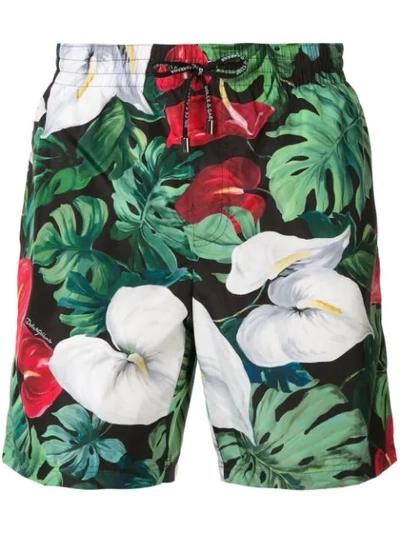 Shop Dolce & Gabbana Anthurium Print Swim Shorts In Green